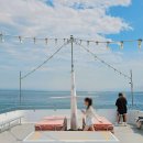 돌핀 | 겨울 해외여행지 추천 호주 포트스테판 투어 돌핀크루즈 붐넷 후기