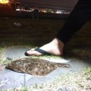 부산낚시 이미지