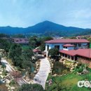 엽차엽차 이미지