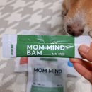 주식회사 국개대표 이미지