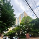 압구정-204 이미지