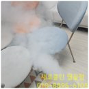 서해위생방역