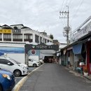 제주도 디저트 선물 추천 '찰리공장 동문시장본점' 우도땅콩샌드 기념품 후기