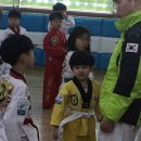 용인대 태권도 이미지