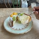 삐에드라 이미지