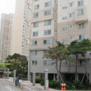 금나래동물병원 이미지