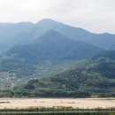 경남 하동군 하동읍 / 임야 매매 / 12,900평 이미지