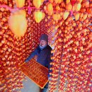 지리산곰실곶감농원 오마이뉴스
