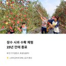 (주)장수관광개발 | 장수 사과 수확 체험, 23년 만에 종료된 이유와 후기 총정리