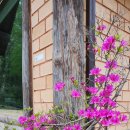 응애농원 이미지