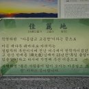 테마찜질방 이미지