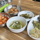 강화맛집 느릅나무칼국수 내돈내산 후기
