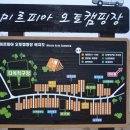 미르피아오토캠핑장 이미지