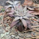 남송경로당 이미지