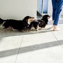 유경세탁 이미지