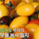 부자농장 이미지