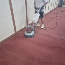 마루약품(주) 이미지