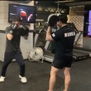 미스터복싱짐 이미지