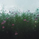 사랑의 노래 이미지