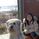 하늘빛으로 물든새 이미지