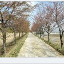 동린각 | &lt;영천 임고 복사꽃길&amp; 운주산자연휴양림 솔바람길 걷기&gt;길동무프로그램 후기