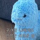이지피지레몬스퀴지