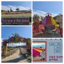 등기소 임시주차장 공중화장실 | 철원 나들이 고석정 가을 꽃밭 후기(고석정주차장, 후문매표소)