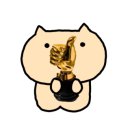 계산동 메타세콰이어 이미지