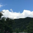 솔바람오토캠핑장 이미지