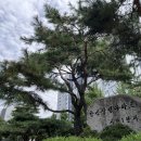 분당-360 이미지