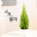 서민갑부 식물 갑부 - 김포 식물정원 이레가든빌리지 김방석 갑부 반려식물 택배