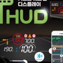 정도카포스 이미지