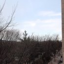 전촌솔밭해수욕장 이미지