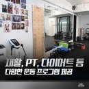 파인드 미 짐 이미지