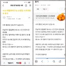 다음카페 앱으로 보세요? 모바일로 보세요? 이미지
