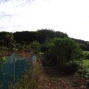 학산주유소 이미지