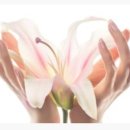 블랑쉬네일 이미지