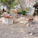 알프스파크 이미지