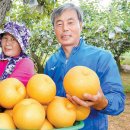 박대성농장 이미지