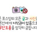 세화엔터테인먼트 이미지