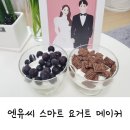 ㈜미래메탈 | 엔유씨 스마트 요거트 메이커(NYM-8500K)그릭요거트만들기 솔직 후기!