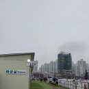 양군화덕 | 화도진 스케이트장 후기 아이 동반 방문 솔직 리뷰