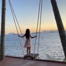 슈가브리움 이미지