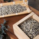 고부우체국 이미지