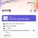 (주)파고다택시 | [상해 기록 #8] 당신에게 피운 꽃은 지지 않아요