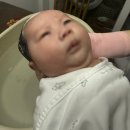 생에기억의공간충전아이엔지 | 250818~250912 산후조리원 퇴소 후 산후도우미 4주 후기, 신생아 50일 전후까지 도움받아본 후기