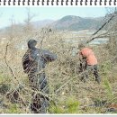 정상농장 이미지