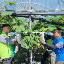 농협 인천옹진군지부 이미지