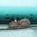 산척농협주유소 이미지