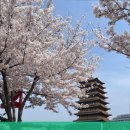 대명카서비스 이미지